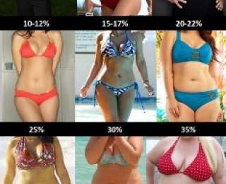 Как определить процент жира у себя в организме - BlogNews.am