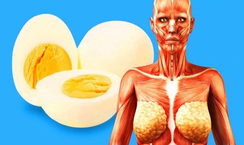 9 անհավանական բաներ, որ կկատարվեն Ձեզ հետ, եթե ամեն օր 2 ձու ուտեք
